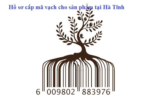 Hồ sơ cấp mã vạch cho sản phẩm tại Hà Tĩnh