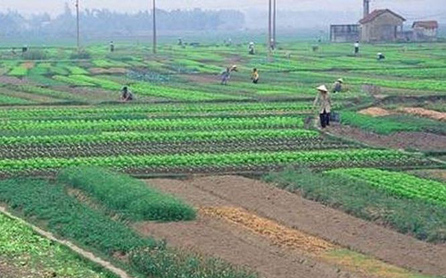 Thủ tục chuyển đổi quyền sử dụng đất nông nghiệp của hộ gia đình, cá nhân tại huyện Nghi Lộc